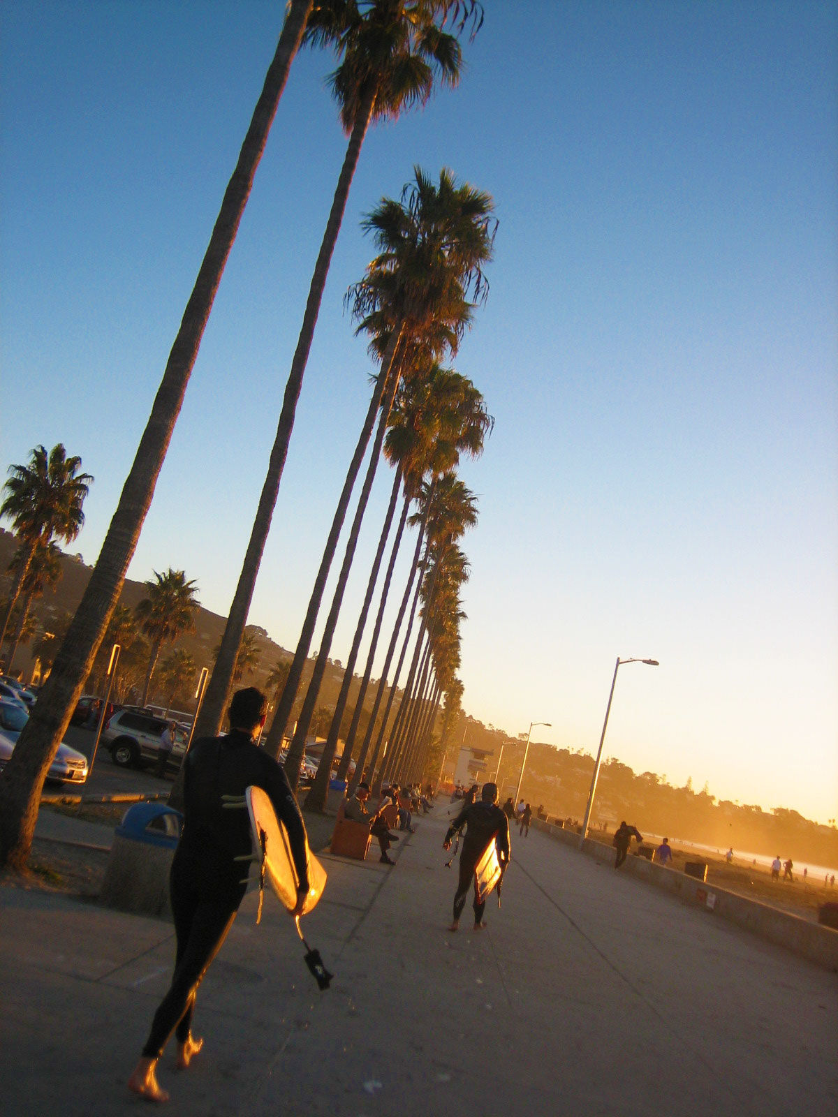 day1-surfer-palmtree-shot-web California - La Jolla area